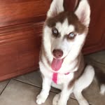 Bella Peralta - @bellabellabellap - Instagram