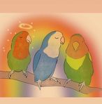 De vogelavonturen van Bella, Perry en Gerrit - Facebook