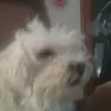 BELLA PETTY - @itsbella13000 - TikTok