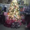 Bella Phelps - @bella.phelps8 - TikTok