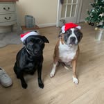 Bella&Piper - @bellapiper7 - Instagram