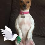 Bella Pollard - Facebook