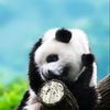 Bella_Poole - @bella_poole - TikTok