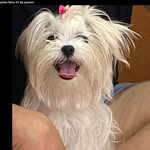 Bella🐰 - @_bella.potter - Instagram