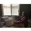 Bella Pugh - @_bellapugh16 - TikTok