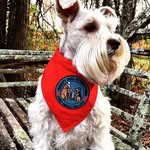 Bella Pugh-Godsey - @bellagodsey - Instagram