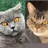 Bella & Raja & Kurkuma - @bella_raja_kurkuma - TikTok