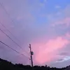 user94566527287 - @bella.randall0 - TikTok