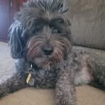 Bella Reilly - Facebook