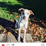 Bella Reilly - @bellabear2309 - Instagram