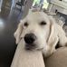Bella Renner - Facebook