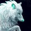 Bella Riddle - @wonderwolf98765 - TikTok