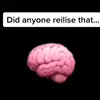 bellariella🧠 - @riella_zbella - TikTok
