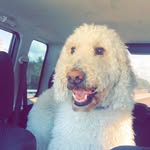 Bella - @bella_riggs05 - Instagram