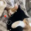🫡 - @bella.riley - TikTok