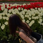Isabella - @_bellarios_ - Instagram