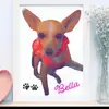 bellarocha - @bellarocha48 - TikTok
