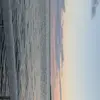 bellarollins03 - @i.luv_subway - TikTok