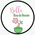Rosa do Deserto - @bella.rosadodeserto - Instagram