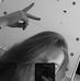 Isabella  Rozenfeljd - Facebook