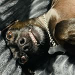 bella - @bella_rubio__ - Instagram