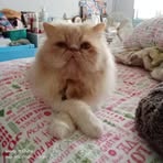 Bella Rubio - Facebook