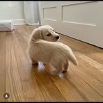 Bella Rubio - Facebook