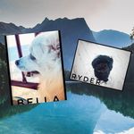Bella and Ryder - @bella_ryder483 - Instagram