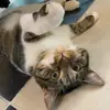 bella - @bella.sampson07 - TikTok
