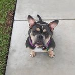 Bella Sandoval - Facebook