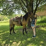 Bella Schmidt - @isa_belle3172 - Instagram