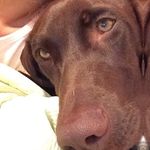 Bella Segal - @bella_the_peparoni - Instagram