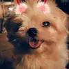 VirginiaDib - @bellasera6 - TikTok