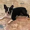 BellaSilver - @bellasilver61 - TikTok