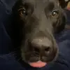 bella - @bella.singhh - TikTok