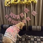 bella singh rajput - @_its_cute_bella - Instagram