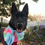 𝓑𝓮𝓵𝓵𝓪 𝓢𝓲𝓷𝓰𝓱、𝓑𝓮𝓷𝓳𝓲 𝓢𝓲𝓷𝓰𝓱 - @gin.gerbella - Instagram