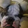 Kylie Romes - @bella...singleton - TikTok