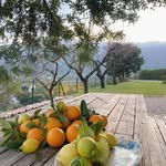 Bella Slater - @bellaslater70jzn - Instagram