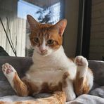 Bella Small - Facebook