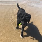 Bella_Small_Fry_Baby - @erin.stockdale - Instagram