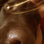 Белька🐻 - @bella_small_puppy - Instagram