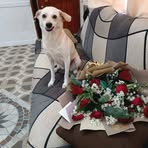 Bella Snyder - Facebook