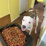 Bella Snyder - Facebook