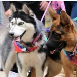 Bella and Raven Solano - @_bella_n_ravens_fam_ - Instagram