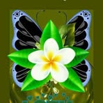 Bella Solano - Facebook