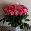 Bella Solano - @fatimatejerinasol - TikTok