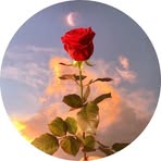 Bella Solis - Facebook