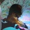bella stark - @bella.stark8 - TikTok