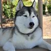 bellaTanner619 - @bellatanner619 - TikTok